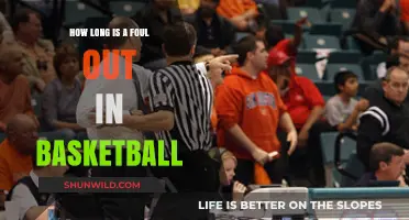 Foul Play: Understanding Basketball's 'Foul Out' Duration