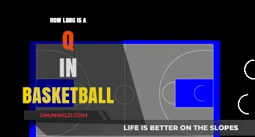 The Elusive 'Q' in Basketball: How Long Does It Last?