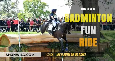 Badminton: A Fun Ride, But For How Long?