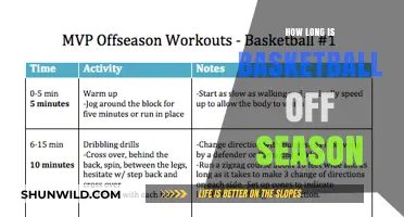 Basketball Off-Season: A Long Break for Players