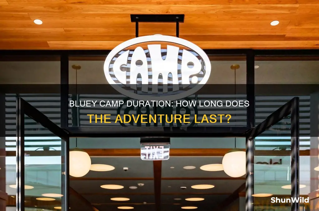 how long is bluey camp