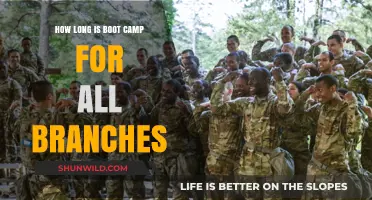 Boot Camp Durations: How Long Each Military Branch Trains Recruits