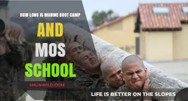 Marine Boot Camp and MOS School Duration: What to Expect