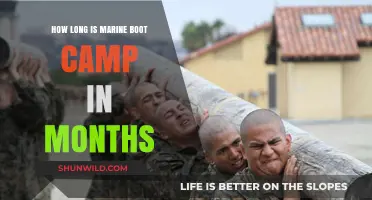 Marine Boot Camp Duration: How Many Months Does It Last?