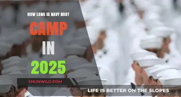 Navy Boot Camp 2025: Duration and Training Insights Revealed