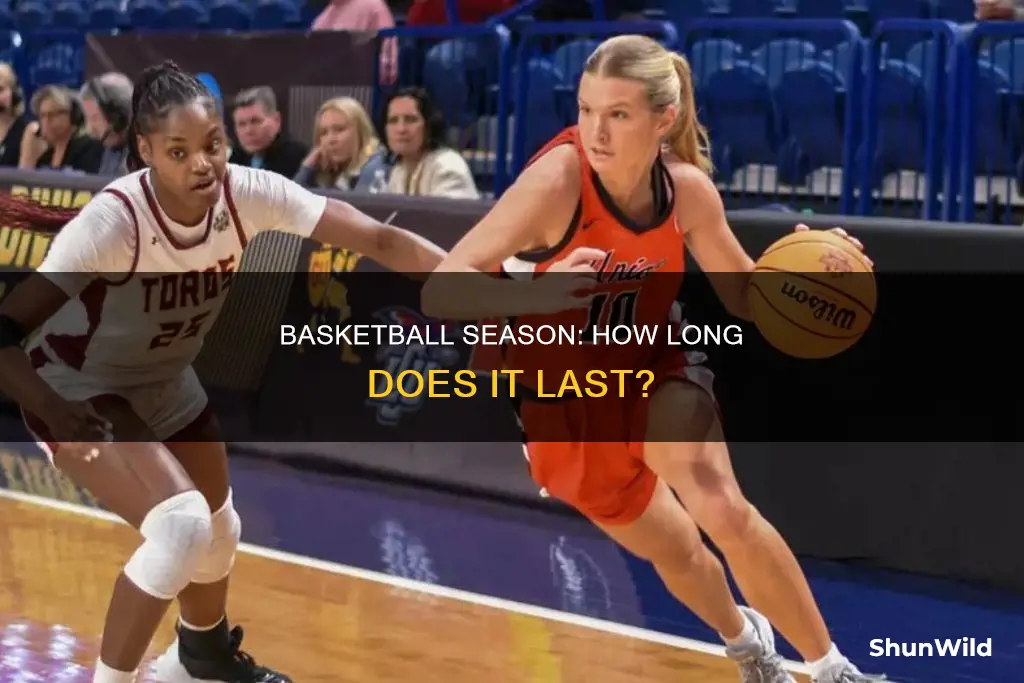 how long is pro basketball season