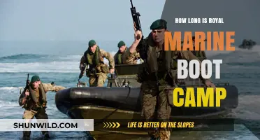 Royal Marine Boot Camp Duration: What to Expect in Training