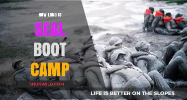 Unveiling the Duration of SEAL Boot Camp: A Comprehensive Guide