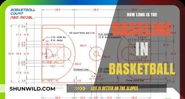 The Basketball Baseline Length: A Standard Measurement