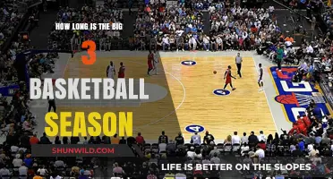 The Big 3: A Basketball Marathon