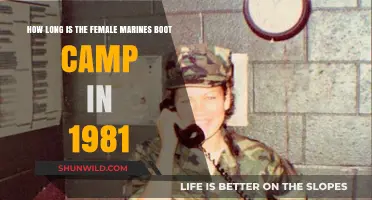 1981 Female Marine Boot Camp Duration: A Historical Overview
