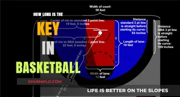 The Basketball Key: Understanding the Dimensions of the Lane