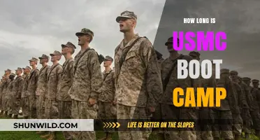USMC Boot Camp Duration: What to Expect in Training
