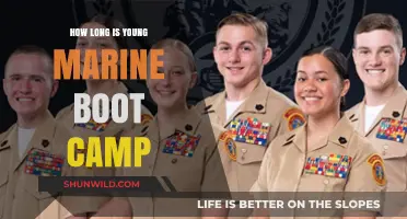 Young Marine Boot Camp Duration: What to Expect for Recruits