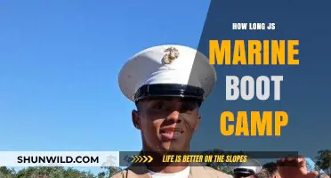 How Long is Marine Boot Camp: A Comprehensive JS Guide