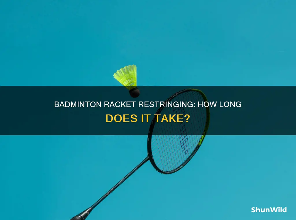 how long to restring badminton racket