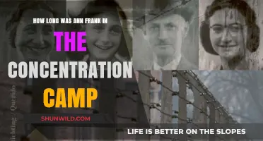 Anne Frank's Harrowing Time in Bergen-Belsen Concentration Camp