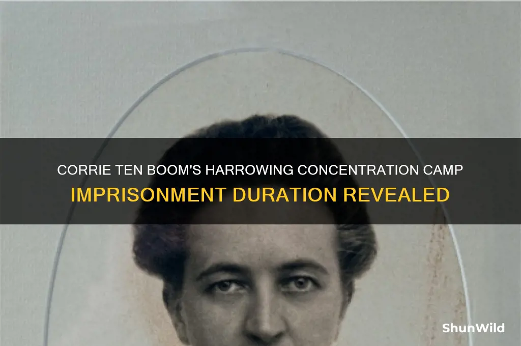 how long was corrie ten boone in the concentration camp