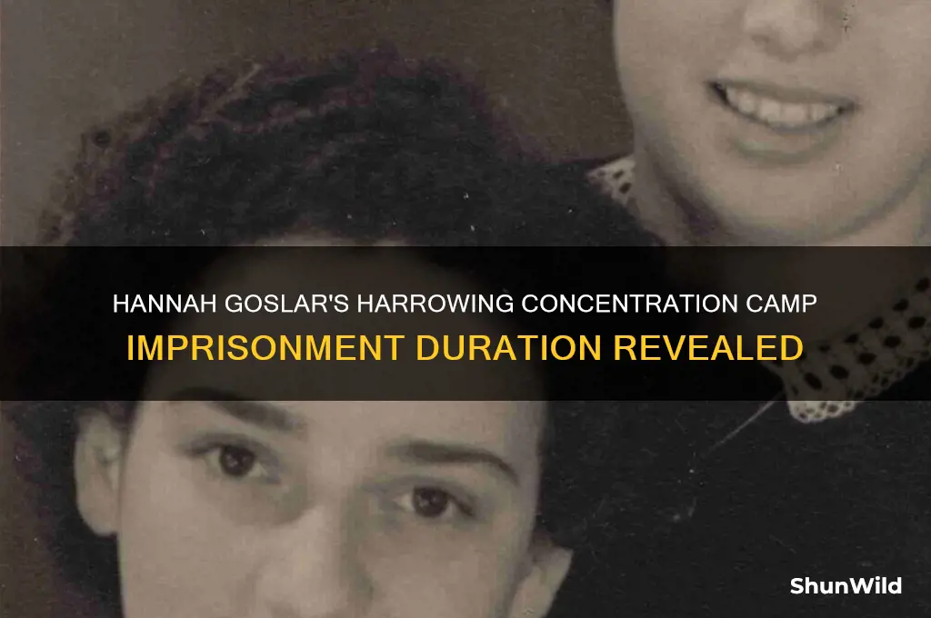 how long was hannah goslar in a concentration camp
