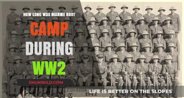 WWII Marine Boot Camp: Duration and Training Insights Revealed