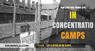Primo Levi's Harrowing Concentration Camp Imprisonment Duration Revealed