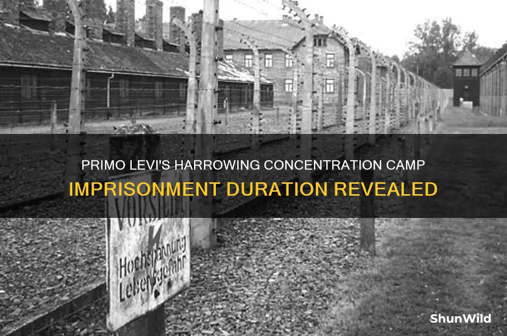 how long was primo levi in concentration camps