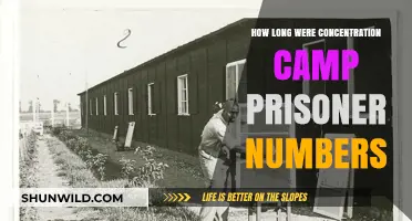 Concentration Camp Prisoner Numbers: Duration and Historical Context Explained