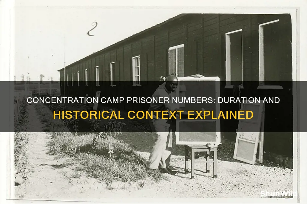 how long were concentration camp prisoner numbers