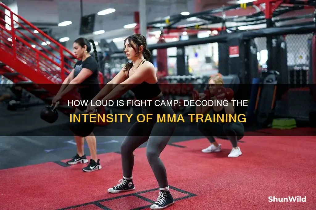 how loud is fight camp