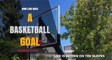 Setting the Standard: Optimal Basketball Goal Heights