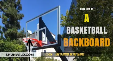 Backboard Height: Basketball's Optimal Rim and Backboard Setup