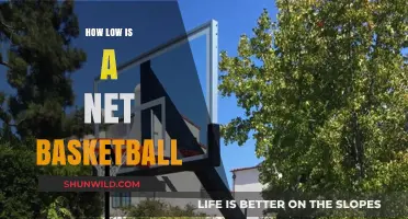 Net Heights: Basketball Rim Regulations