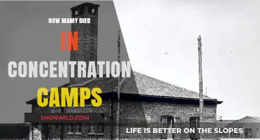 Unimaginable Loss: The Devastating Death Toll of Concentration Camps