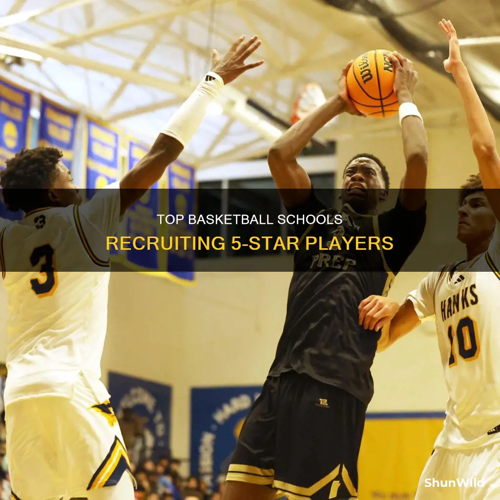 how many 5-star basketball recruits by school