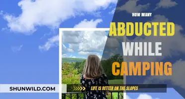 Vanishing in the Wild: Abduction Cases Linked to Camping Trips