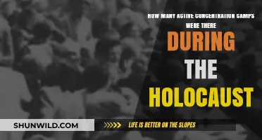Unveiling the Dark Reality: Active Concentration Camps During the Holocaust