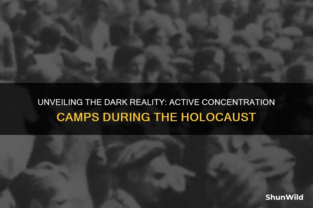 how many active concentration camps were there during the holocaust