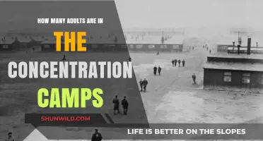 Unveiling the Truth: Adult Detainees in Modern Concentration Camps