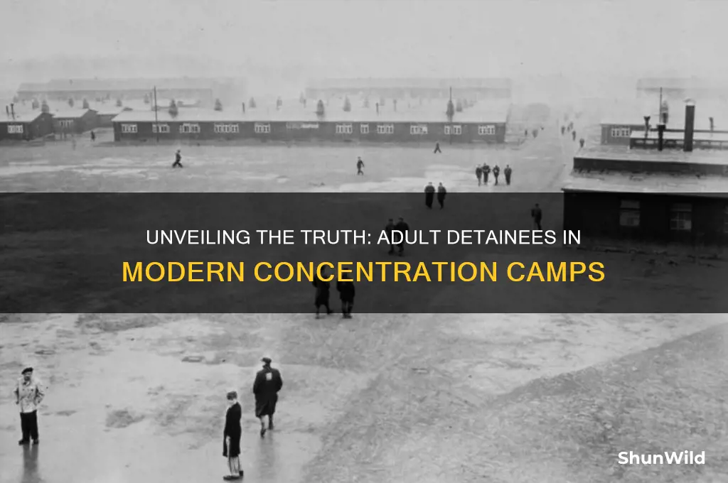 how many adults are in the concentration camps