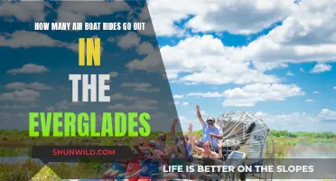 Air Boat Rides Exploring the Everglades