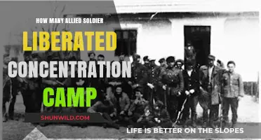 Allied Forces' Role in Liberating Nazi Concentration Camps: A Historical Overview