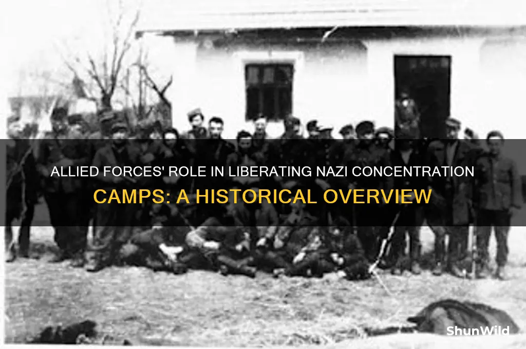 how many allied soldier liberated concentration camp