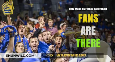 Basketball Fanbase in the USA: How Large Is It?