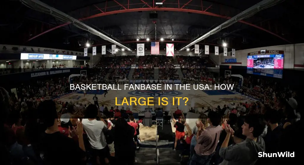 how many american basketball fans are there