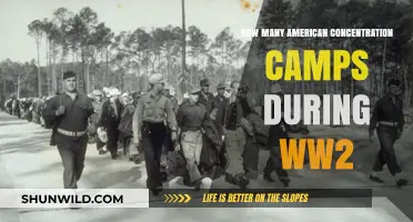 Unveiling America's Dark History: WWII Concentration Camps Count