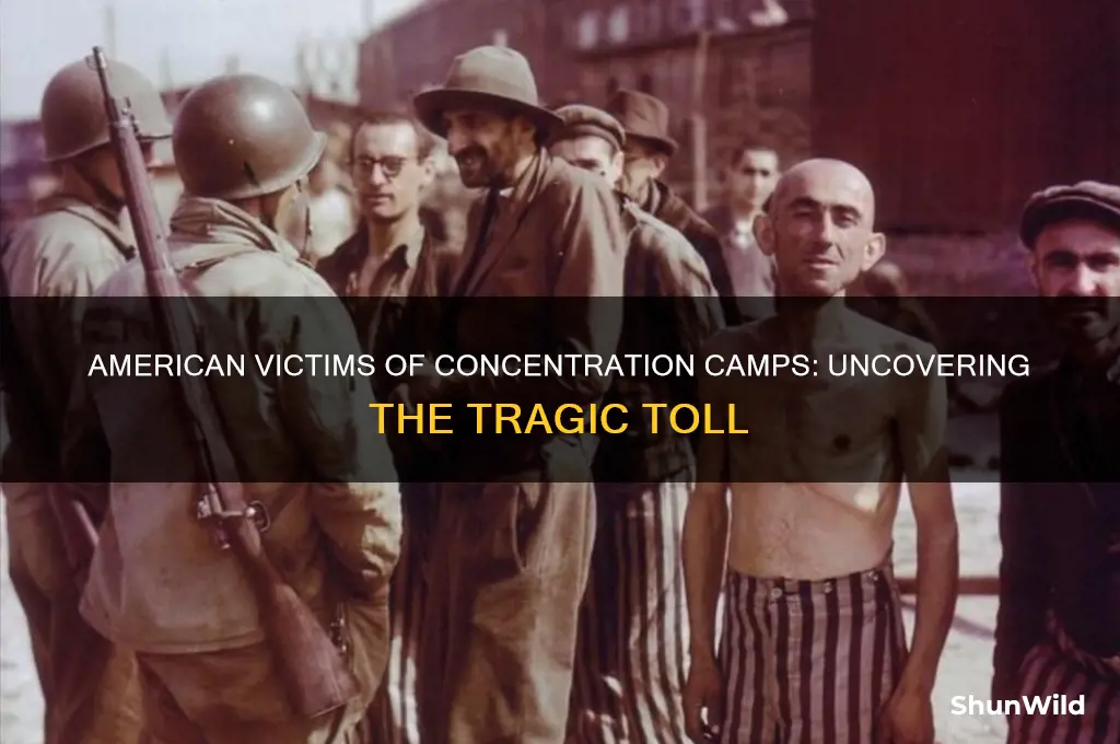 how many americans died in concentration camps