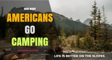 Exploring the Great Outdoors: How Many Americans Go Camping?