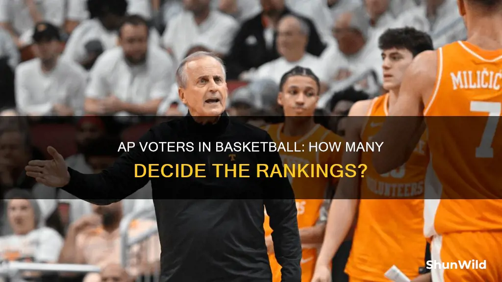 how many ap voters are there basketball