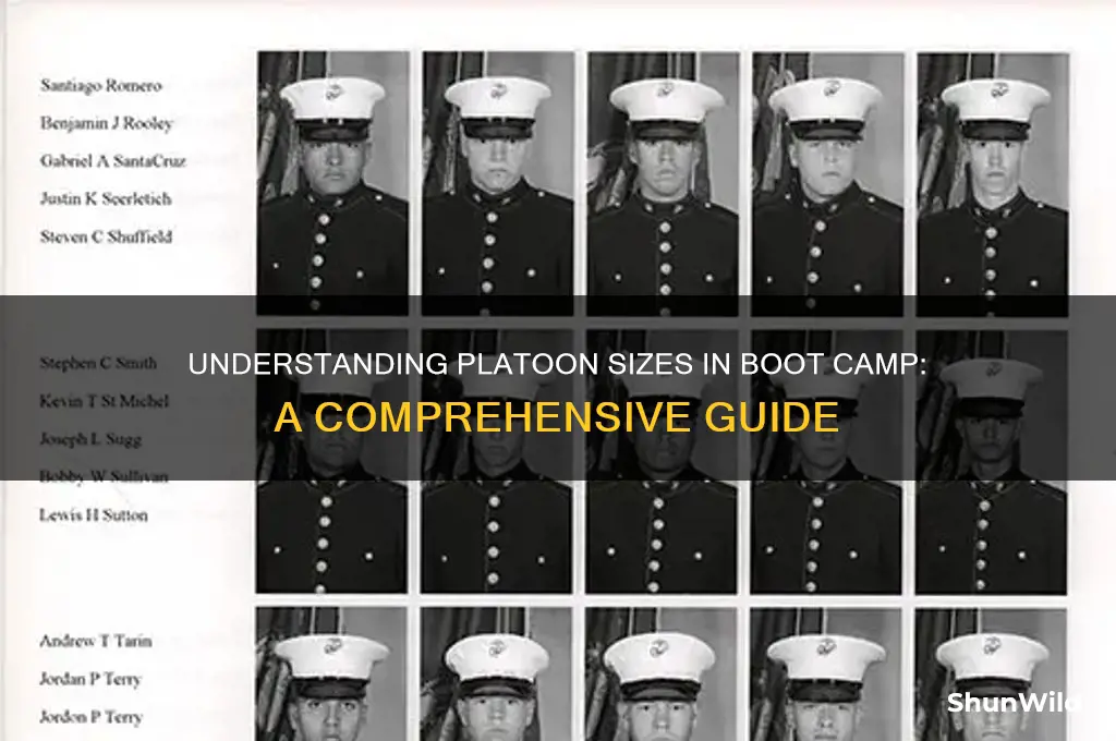 how many are in a boot camp platoon