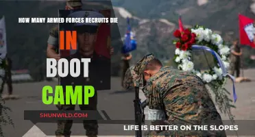 Boot Camp Fatalities: Understanding Recruit Deaths in Military Training